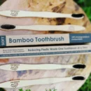 Bamboo Toothbrush 1 Pic