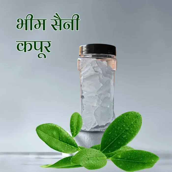 शुद्ध भीम सेनी कपूर